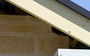soffit repair Morawelon