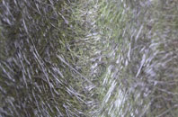 Morawelon fibreglass roof work